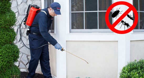 Kozlu Tahtakurusu İlaçlama böcek ilaçlama ve haşere kontrolü — ilaclama-tr.com